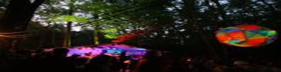 WIN! A PAIR OF TICKETS TO In The Woods Festival!