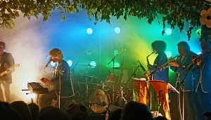 Deer Shed band performance