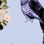 Big Wave - 'The Roots Of Love (Come Tumbling Down)' EP - (Soft Power Records)