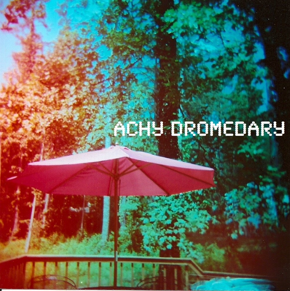 Preaching from the Pews: Achy Dromedary