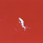 Track Of The Day #190: Moses Gold - Great Depression 1