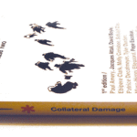 Book Review - Collateral Damage Global Crash Phase Two