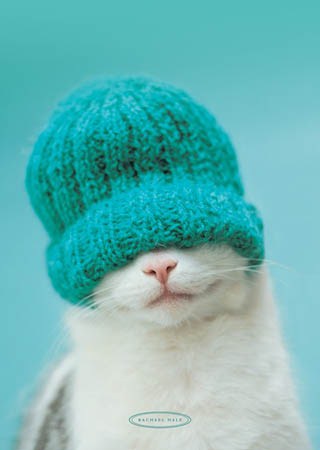 Alcopop Compilation: pOp Cat in a Hat 2013 for GIITTV