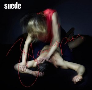 suede