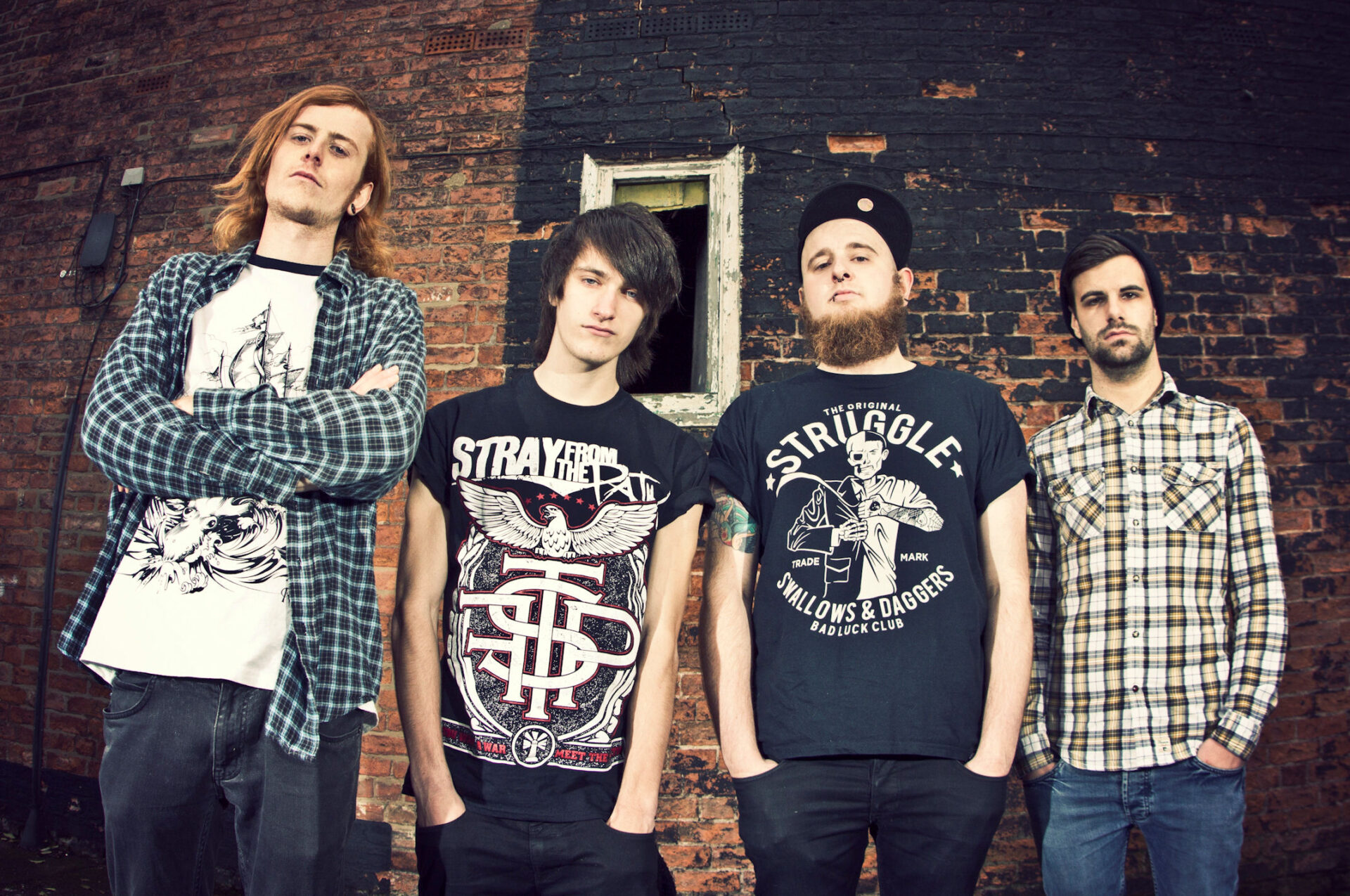 Introducing: Black Dogs