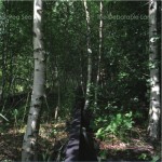 Pea Sea – The Debatable Land (Sea Records) 2