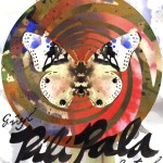 PREVIEW: Gwyl Pili Pala Festival