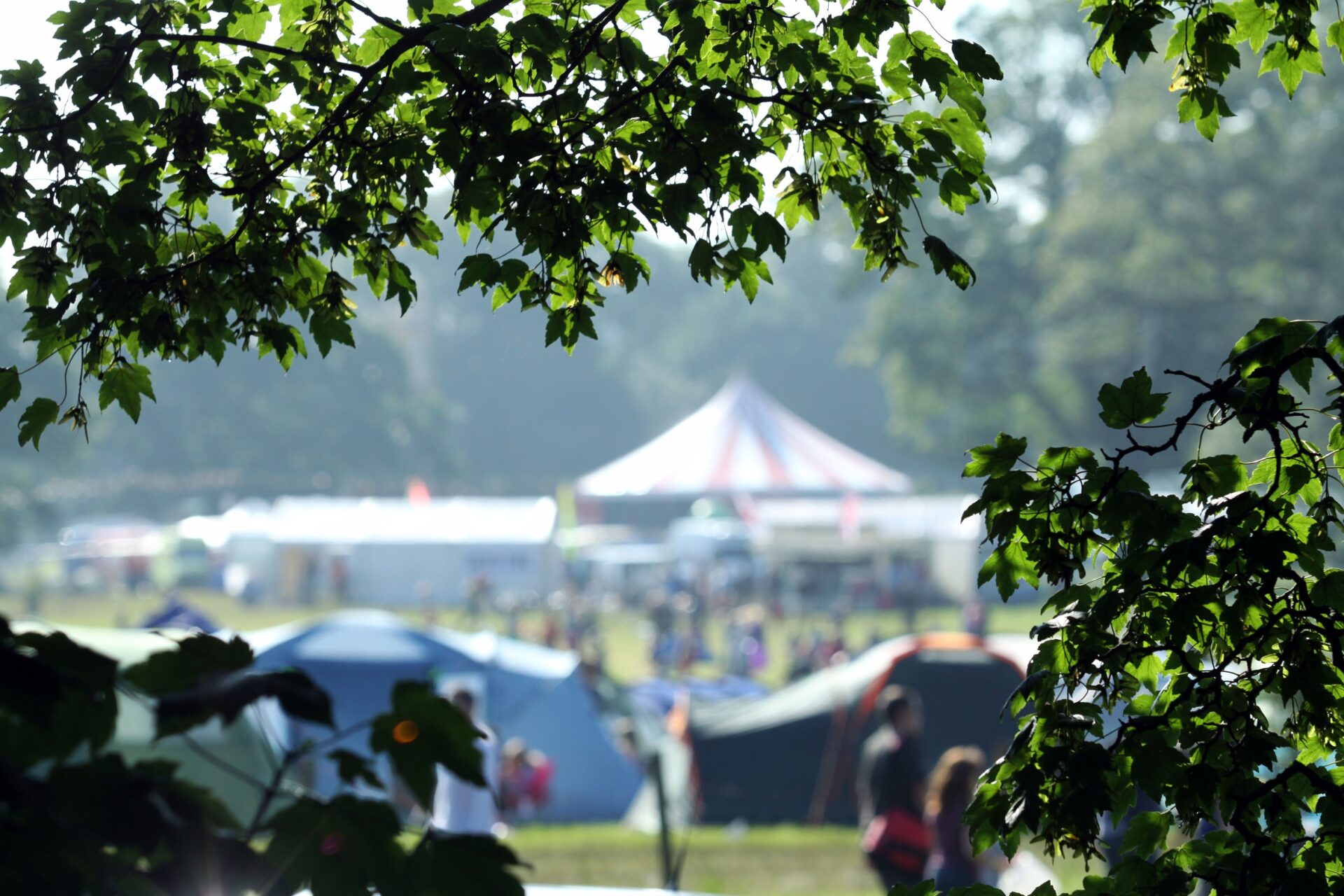 PREVIEW: Deer Shed Festival - 19th to 21st July 2013 1
