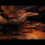 Gorse - Twisting Nature 2