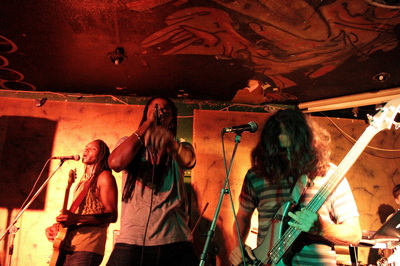 Preaching From The Pews: Mangoseed