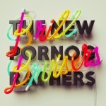 New Pornographers - Brill Bruisers (Matador)