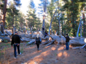 Band_Idyll