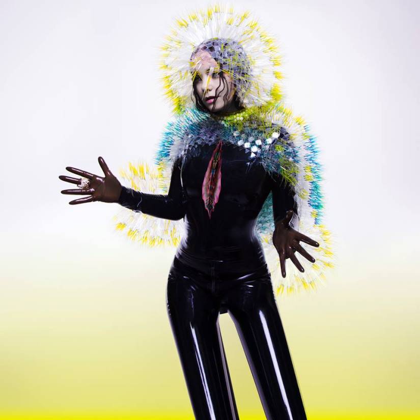 Björk Battles the Leakers