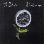 The Districts - A Flourish And A Spoil (Fat Possum Records)