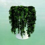 Errors – Lease of Life (Rock Action Records) 1