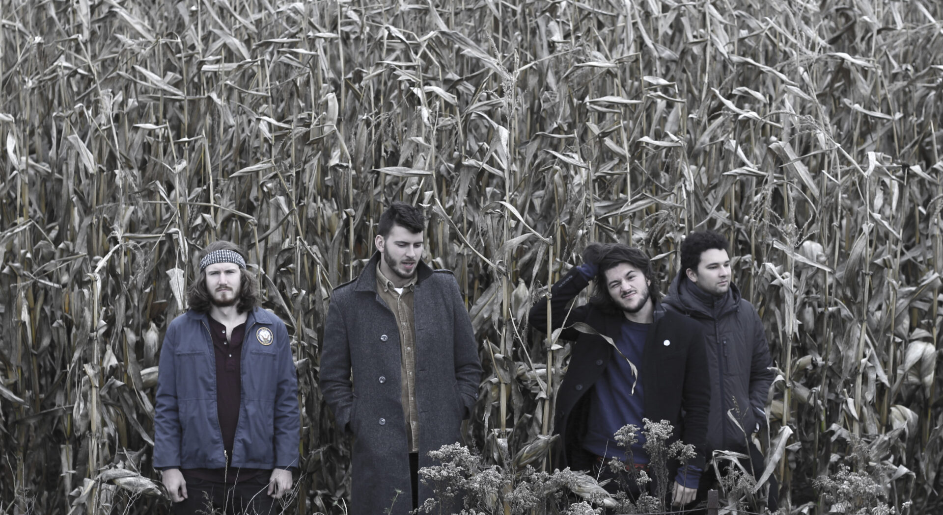 VIDEO PREMIERE: JPNSGRLS -  Mushrooms