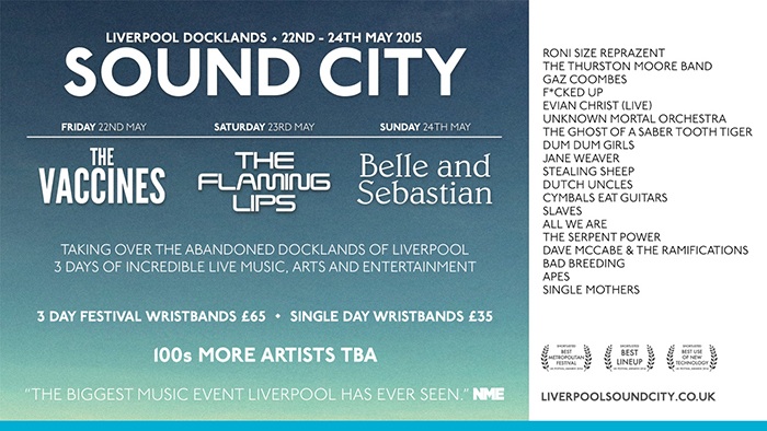 FESTIVAL GUIDE: 10 Best Metropolitan Festivals 12