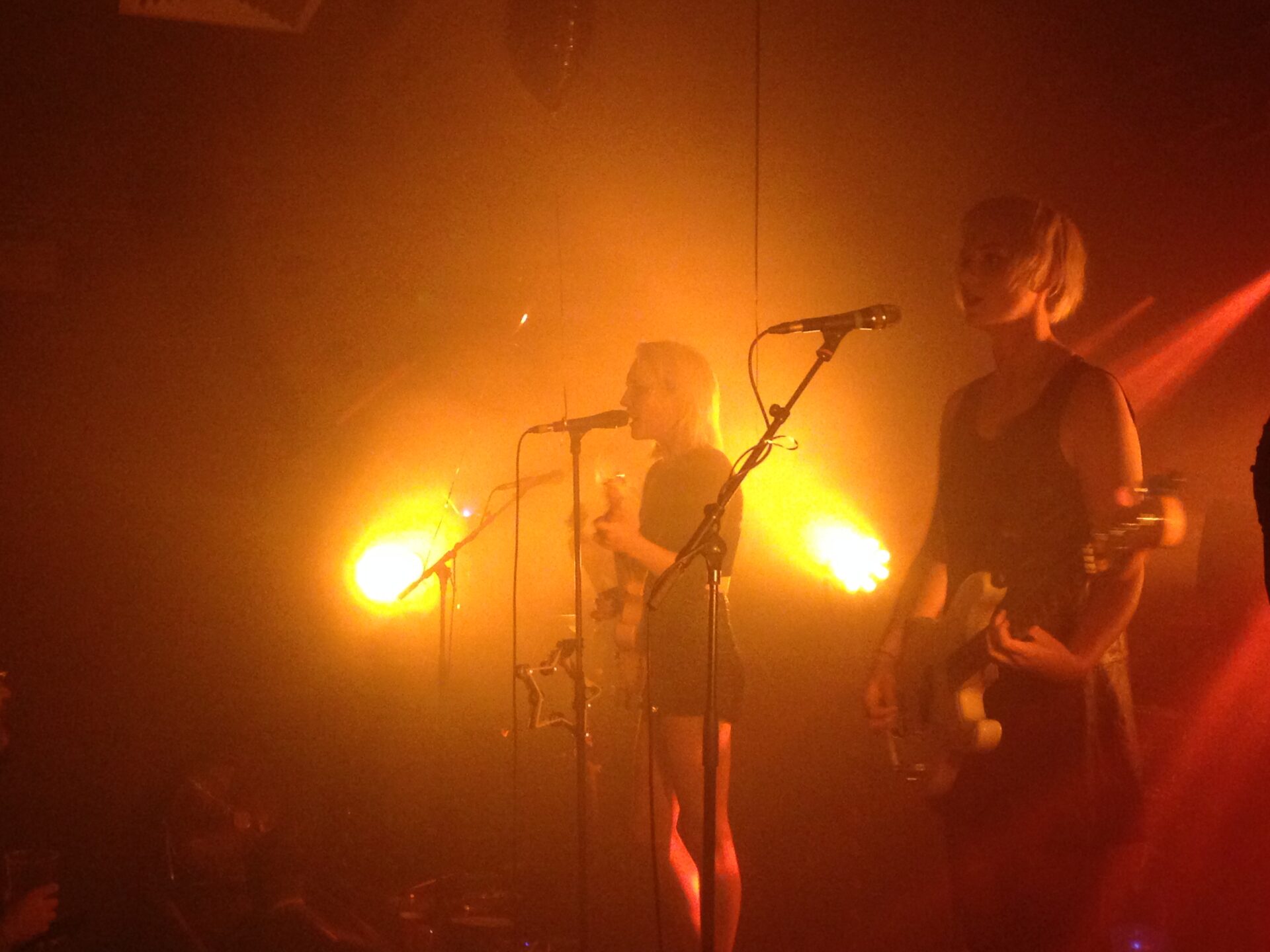 PINS – Oslo, Hackney, 23rd September 2015 1