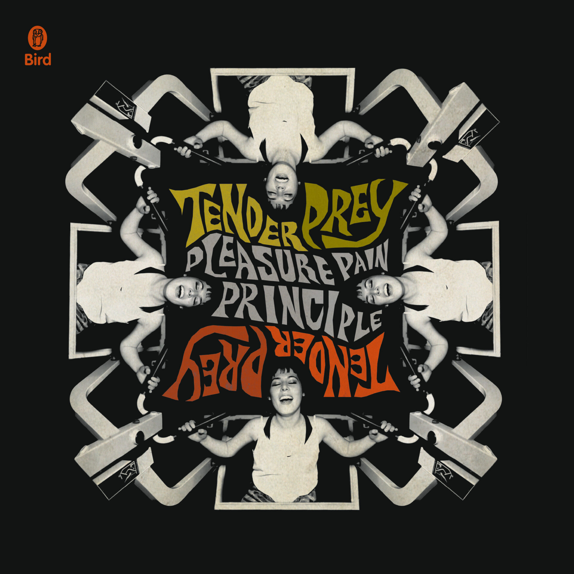 VIDEO PREMIERE: Tender Prey - Pleasure Pain Principle