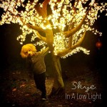 Skye - In A Low Light (Kobalt Lebel Services)