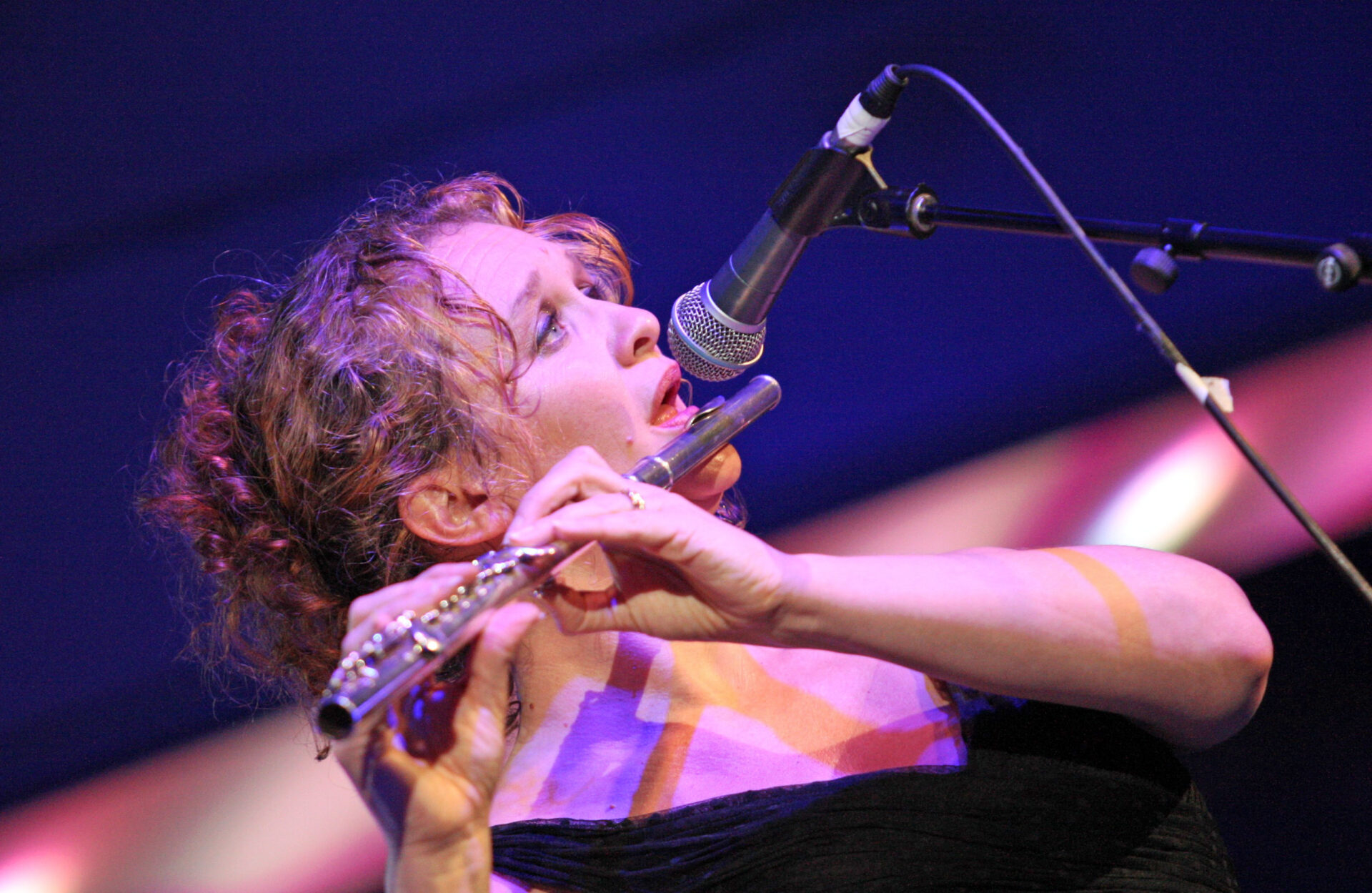 IN PICTURES: The Great British Folk Festival 2015 11