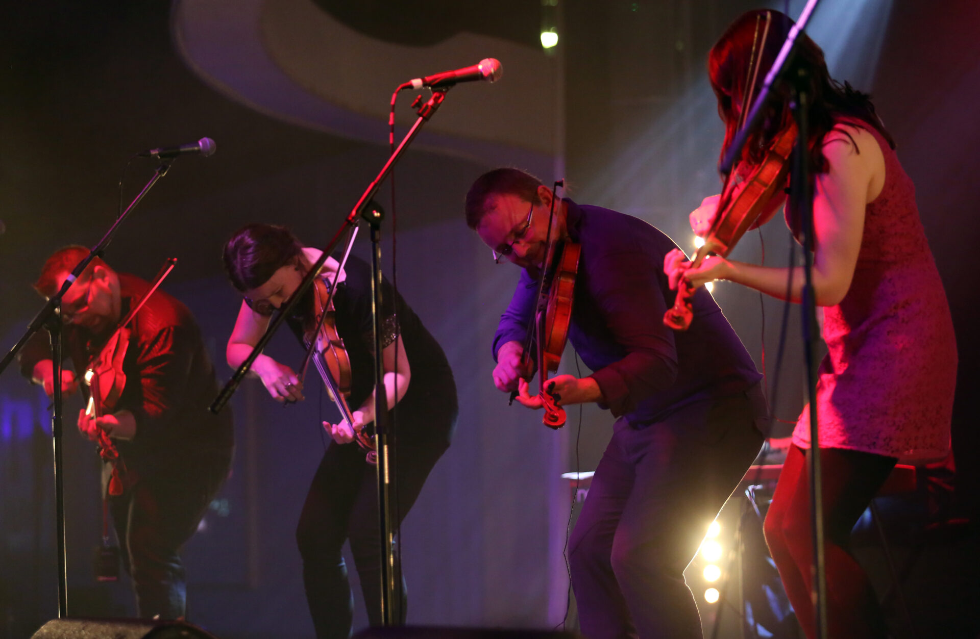 IN PICTURES: The Great British Folk Festival 2015 18