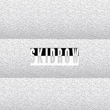 James Ferraro - Skid Row (Break World Records)