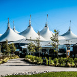 NEWS:  Rockaway Beach 2016 first artist announcement
