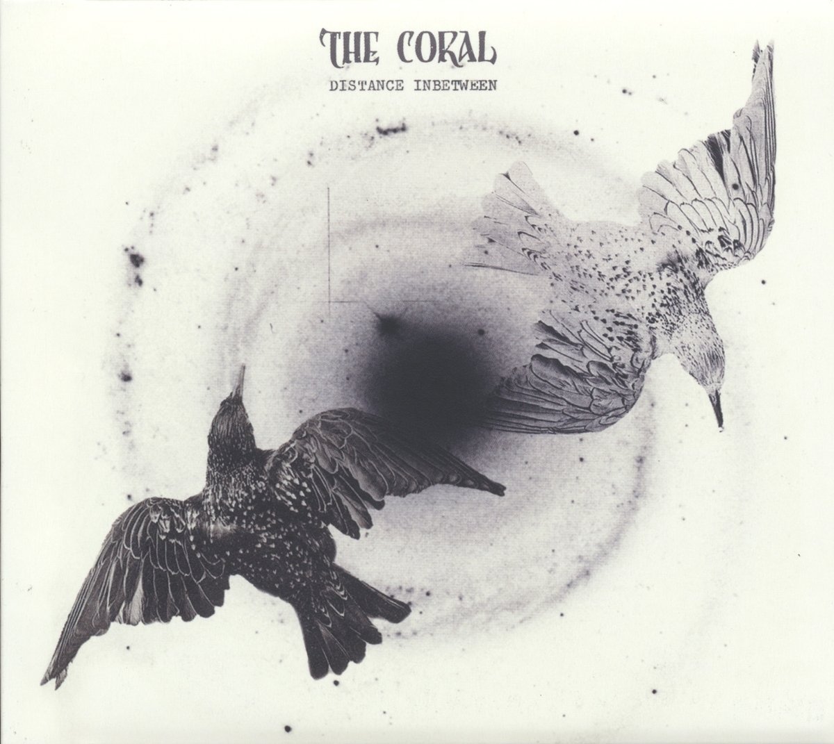 The Coral - Distance Inbetween (Ignition)