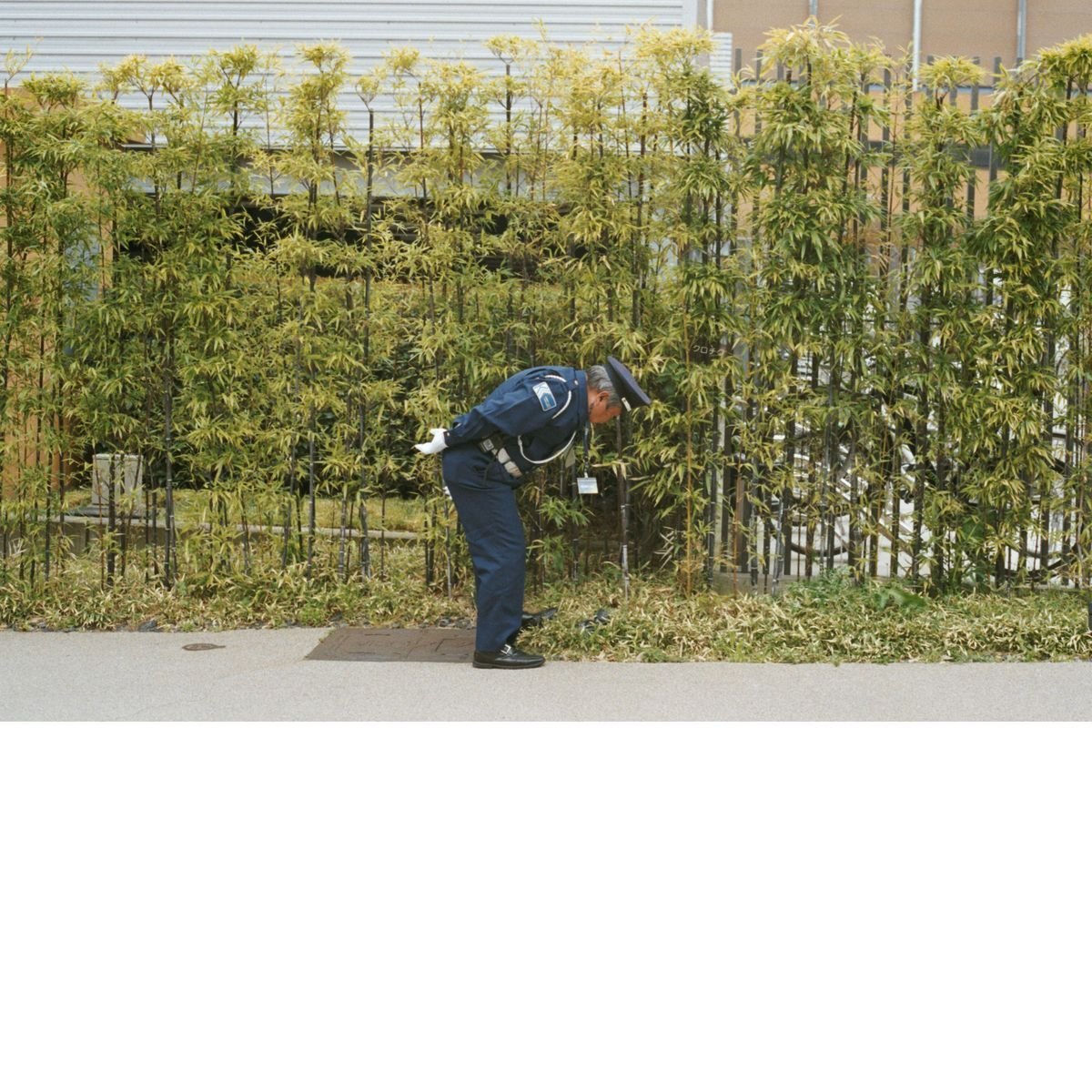 Gold Panda - Good Luck and Do Your Best [City Slang]