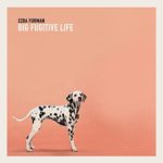 Ezra Furman - Big Fugitive Life E.P. (Bella Union)
