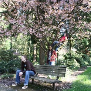 Track Of The Day #911: Vibrissae - Need 2
