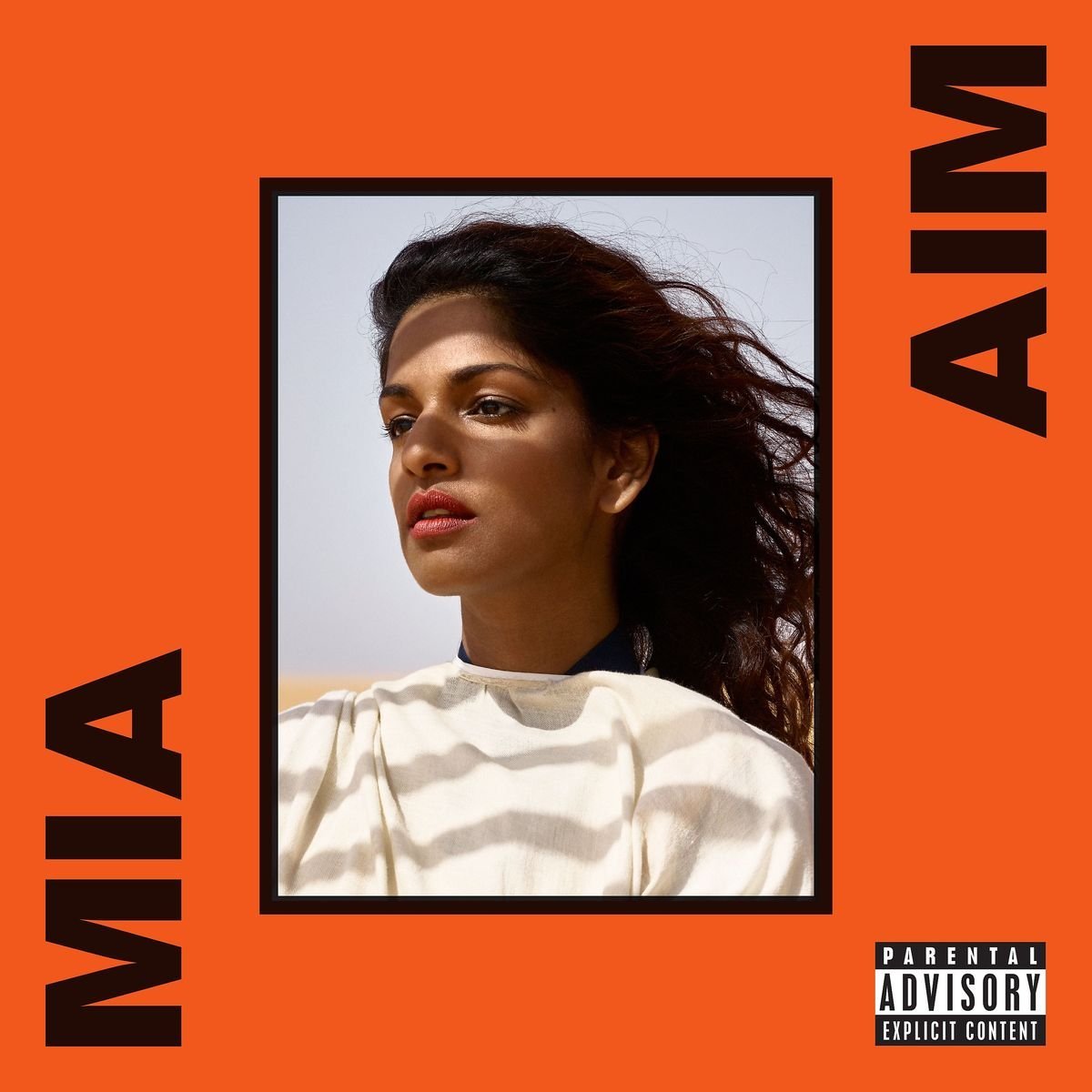 M.I.A. - A.I.M. (Polydor Records) 2