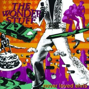 never-loved-elvis