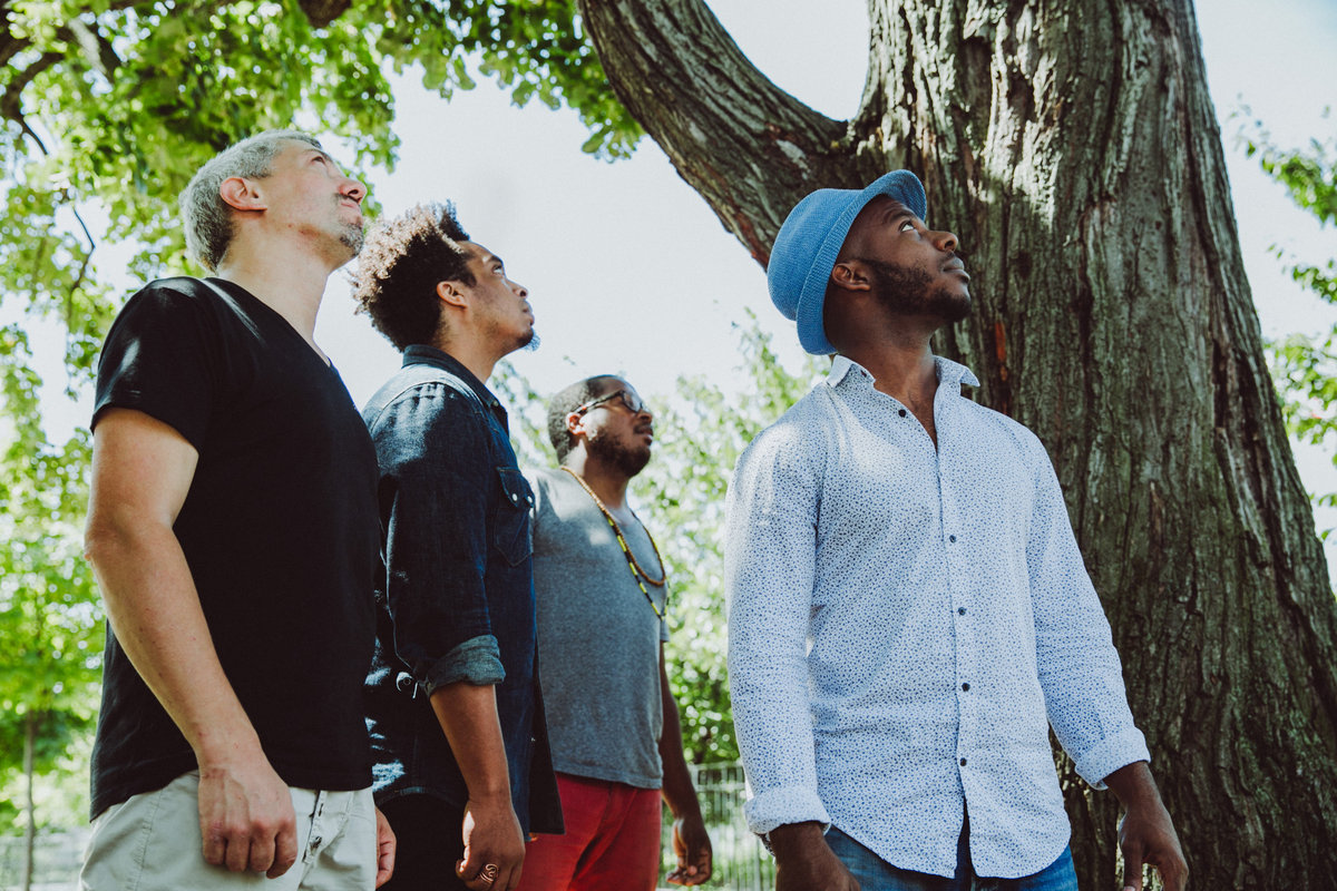 Track Of The Day #945: A Tree Grows - Wau Wau Water