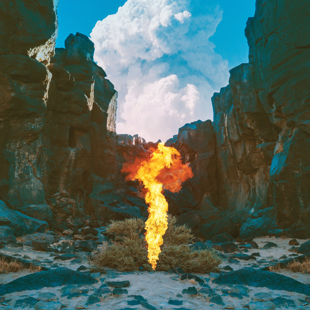Bonobo - Migration (Ninja Tune) 2