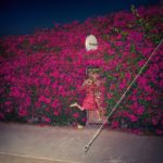 NEWS: Feist announces new album 'Pleasure'
