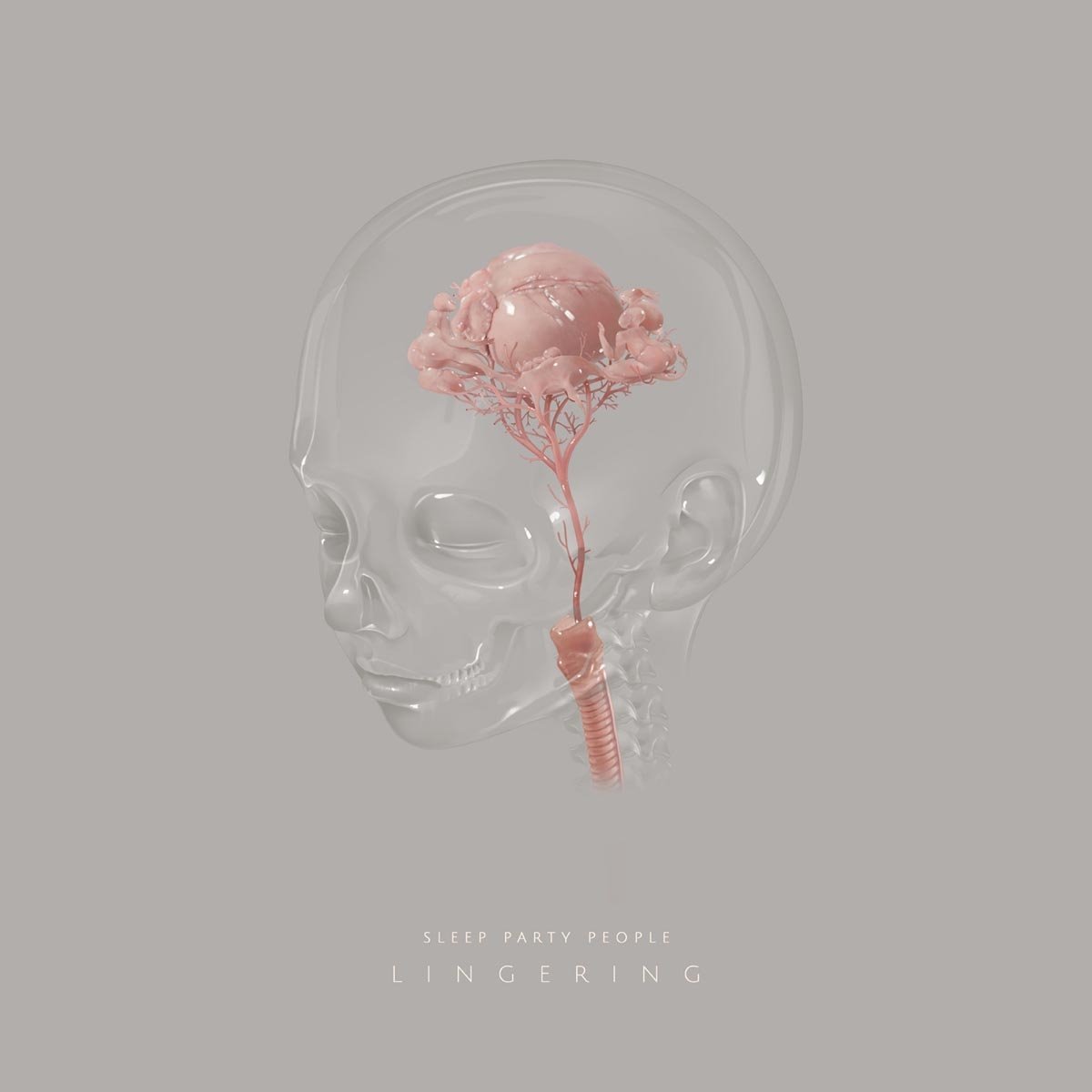Sleep Party People – Lingering (Joyful Noise)