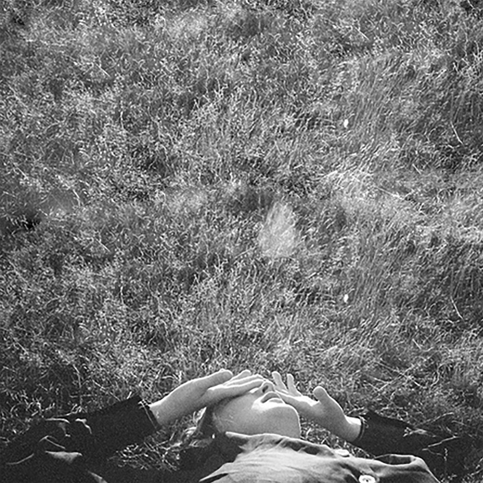 Holy Boy - Holy Boy (Native Habitat)