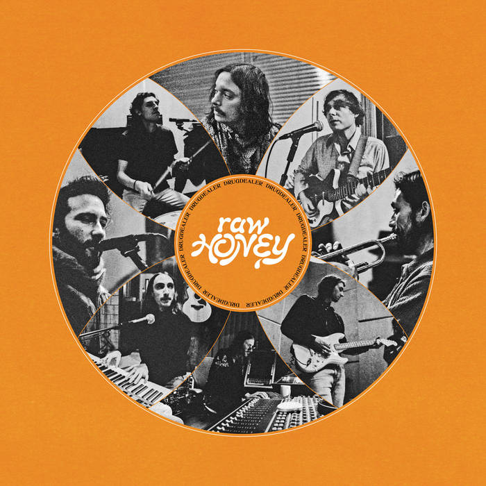 Drugdealer - Raw Honey (Mexican Summer)