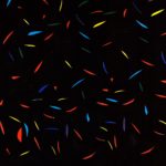 Trash Kit - Horizon (Upset The Rhythm)