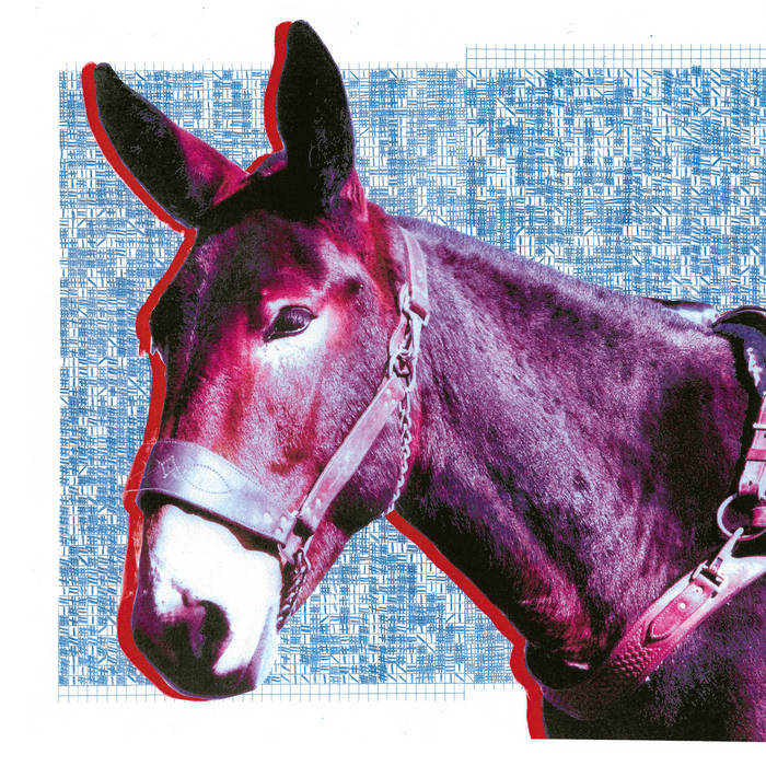 Protomartyr - Ultimate Success Today (Domino)