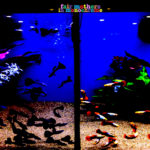 Fair Mothers - In Monochrome (Song, By Toad)