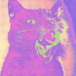 Teenanger - Good Time (Telephone Explosion Records)