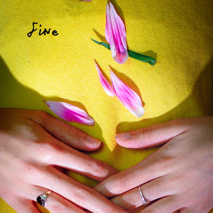 NEWS: Rosehip Teahouse announce new EP 'Fine'