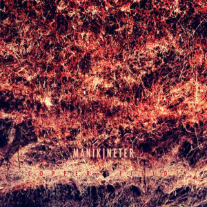 Manikineter