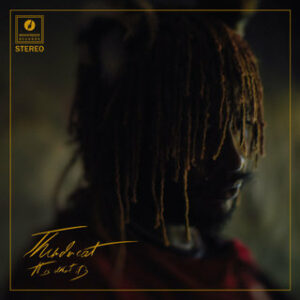Thundercat