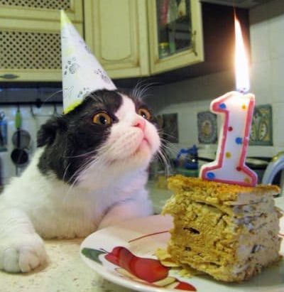 PODCAST: Show Me Magic! First Birthday special with Andy VonPip 5
