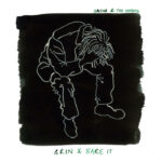 Sasha & The Shades - Grin & Bare It (self released)