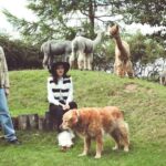 NEWS: audiobooks share 'He Called Me Bambi' Video &  Announce support of Baxter Dury & Gruff Rhys on UK Tours